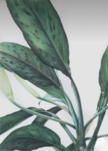 Load image into Gallery viewer, Philosykos Fragranced Reed Diffuser