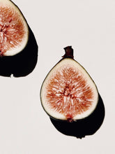 Load image into Gallery viewer, Philosykos Fragranced Reed Diffuser