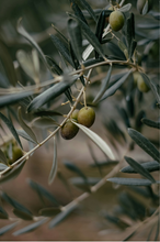 Load image into Gallery viewer, Face Mist / All skin types