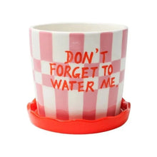 Load image into Gallery viewer, Arturo Ceramic Plant (Squares & Stripes)