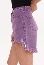 Load image into Gallery viewer, Domna Shorts (Purple)