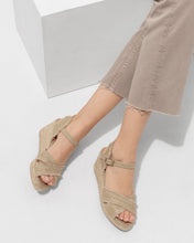 Load image into Gallery viewer, Bromelia (Oro Claro)