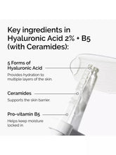 Load image into Gallery viewer, The Ordinary Hyaluronic Acid 2% + B5
