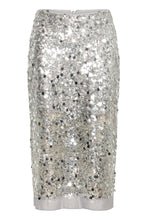 Load image into Gallery viewer, DavinaiW Skirt
